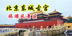 我看成年男女正在床上性感的日BB中国北京-东城古宫旅游风景区